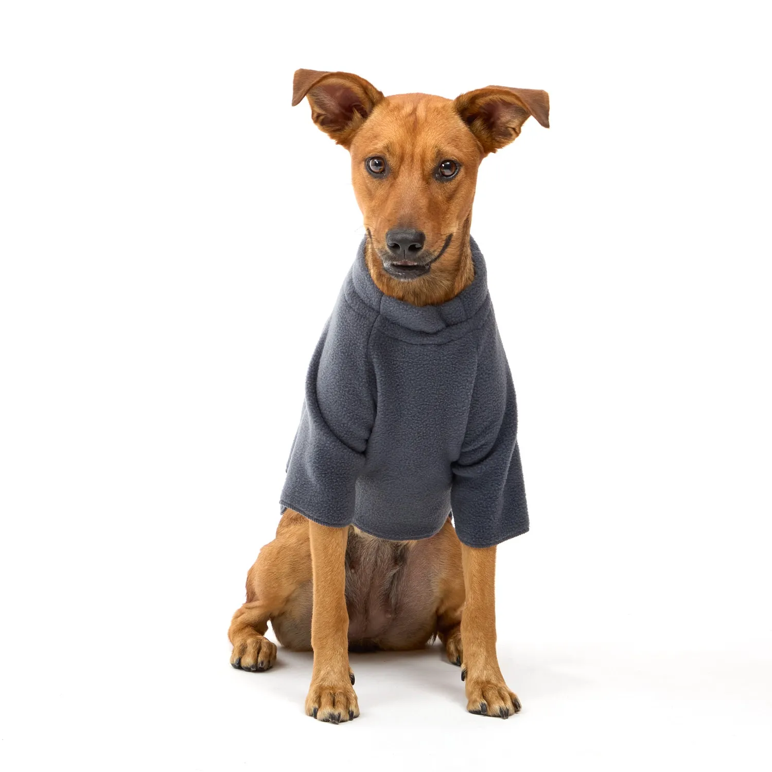 Blusa Dog Cinza Peitoral